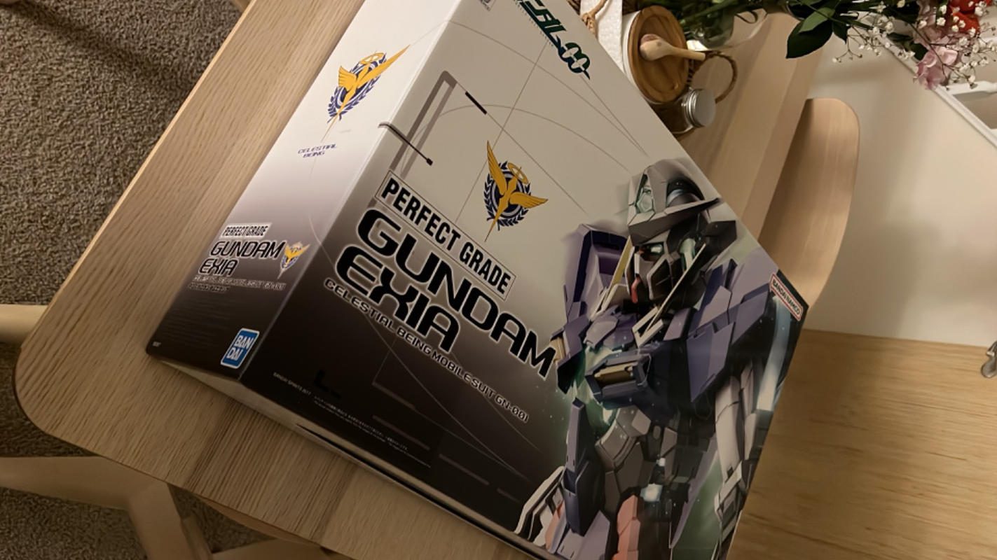 PG 1/60 Gundam Exia Gunpla Model Kit photo review