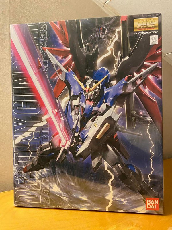 MG 1/100 Destiny Gundam Model Kit photo review