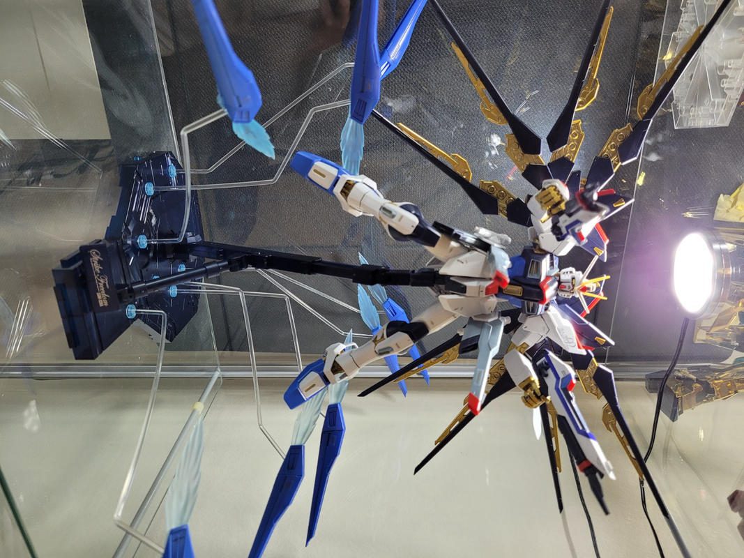 1/100 Scale MG Strike Freedom Gundam Full Burst Mode Gundam SEED Destiny Model Kit photo review
