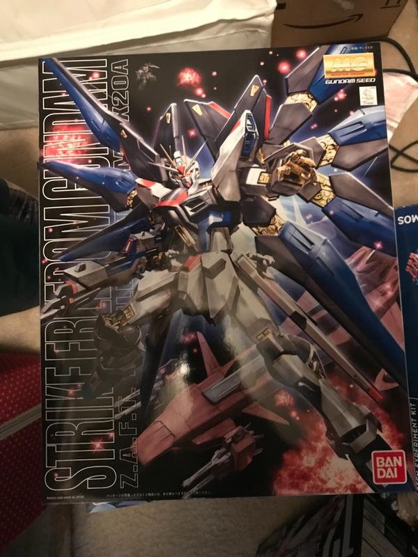 MG 1/100 Gundam Strike Freedom Model Kit photo review