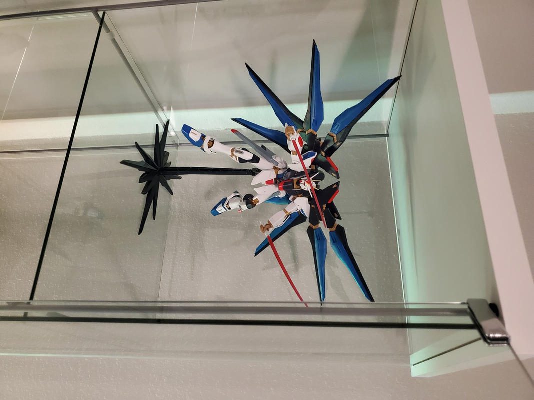 MG 1/100 Gundam Strike Freedom Model Kit photo review