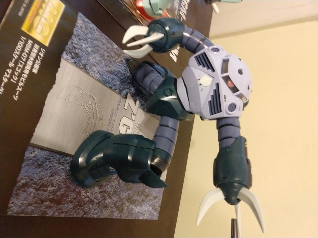 Master Grade 1/100 MSM-07 Z'Gok Gundam Kit No.146852 photo review