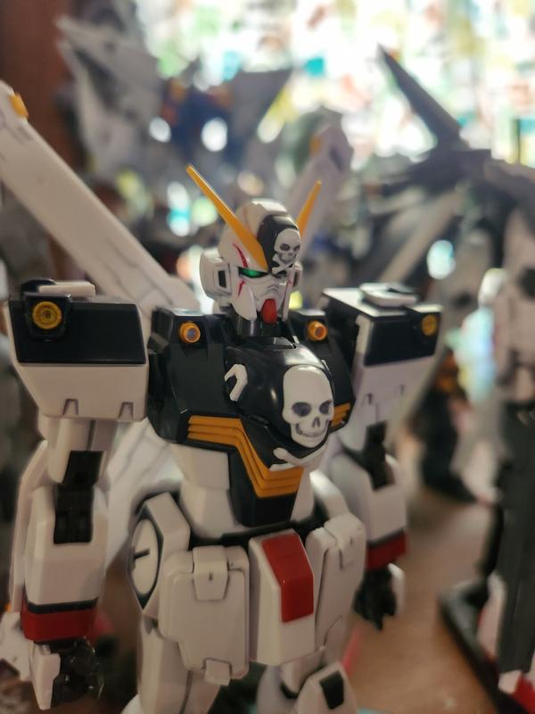 Crossbone Gundam X1 Ver. Ka Model Kit photo review