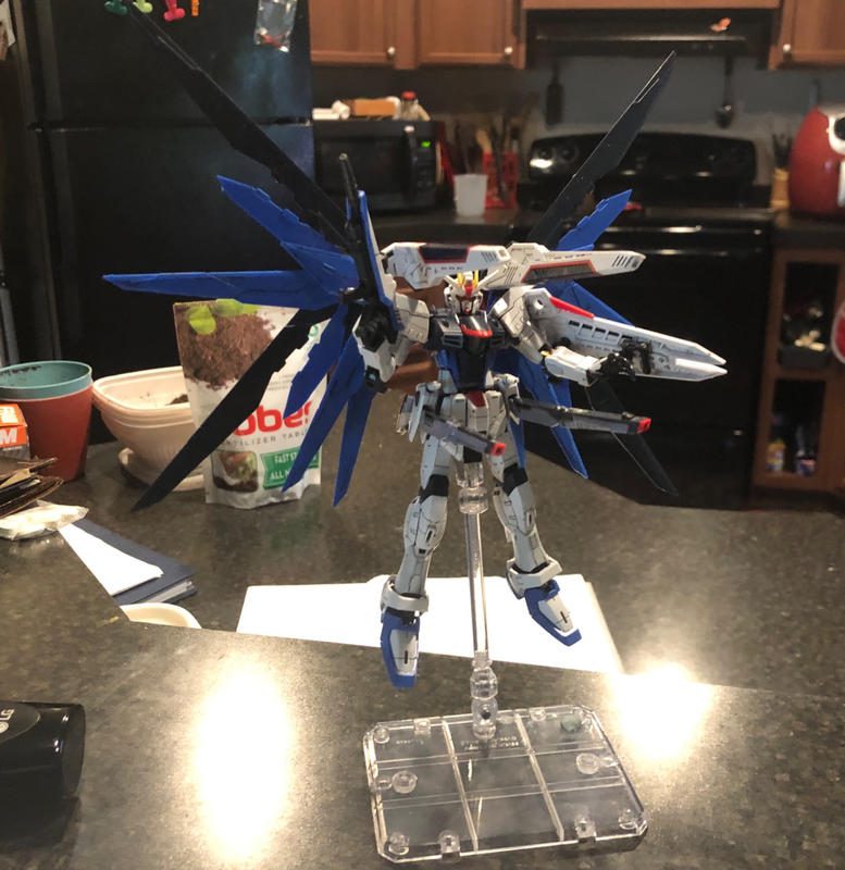 RG 1/144 Freedom Gundam Model Kit photo review