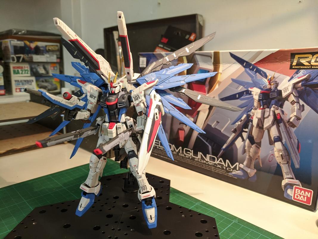 RG 1/144 Freedom Gundam Model Kit photo review