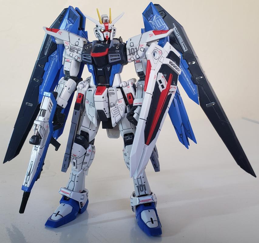 RG 1/144 Freedom Gundam Model Kit photo review