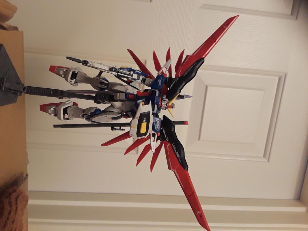 RG 1/144 Destiny Gundam Model Kit photo review