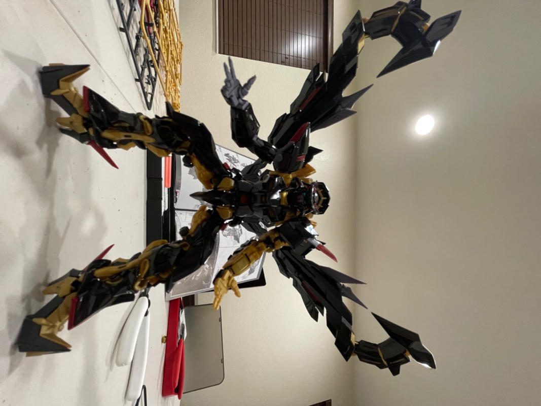 RG 1/144 Gundam Astray Gold Frame Amatsu Mina Mecha Musume Model Kit photo review